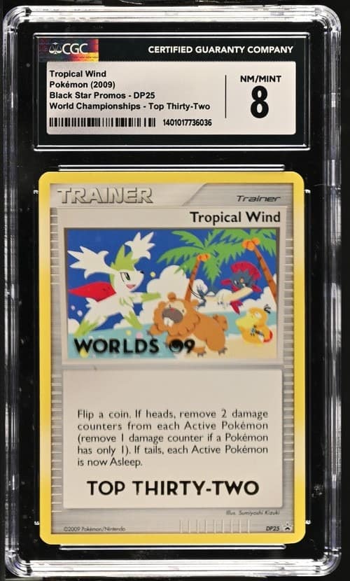 Tropical Wind
