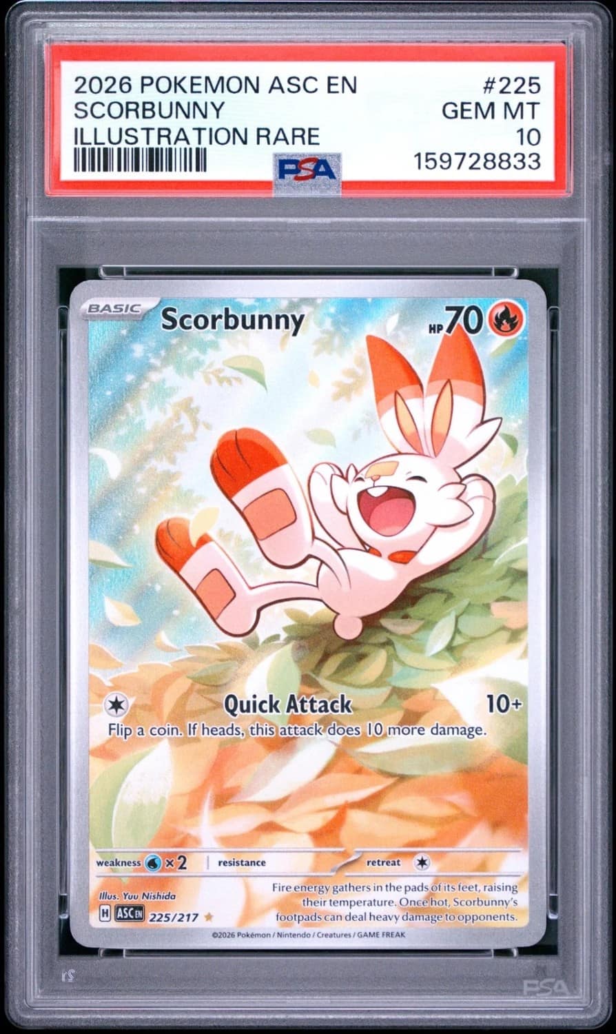 Scorbunny
