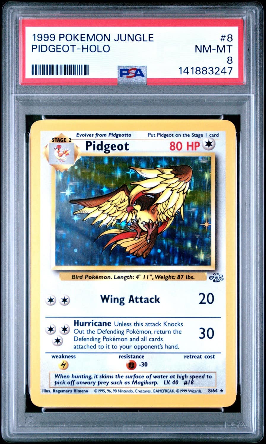 Pidgeot