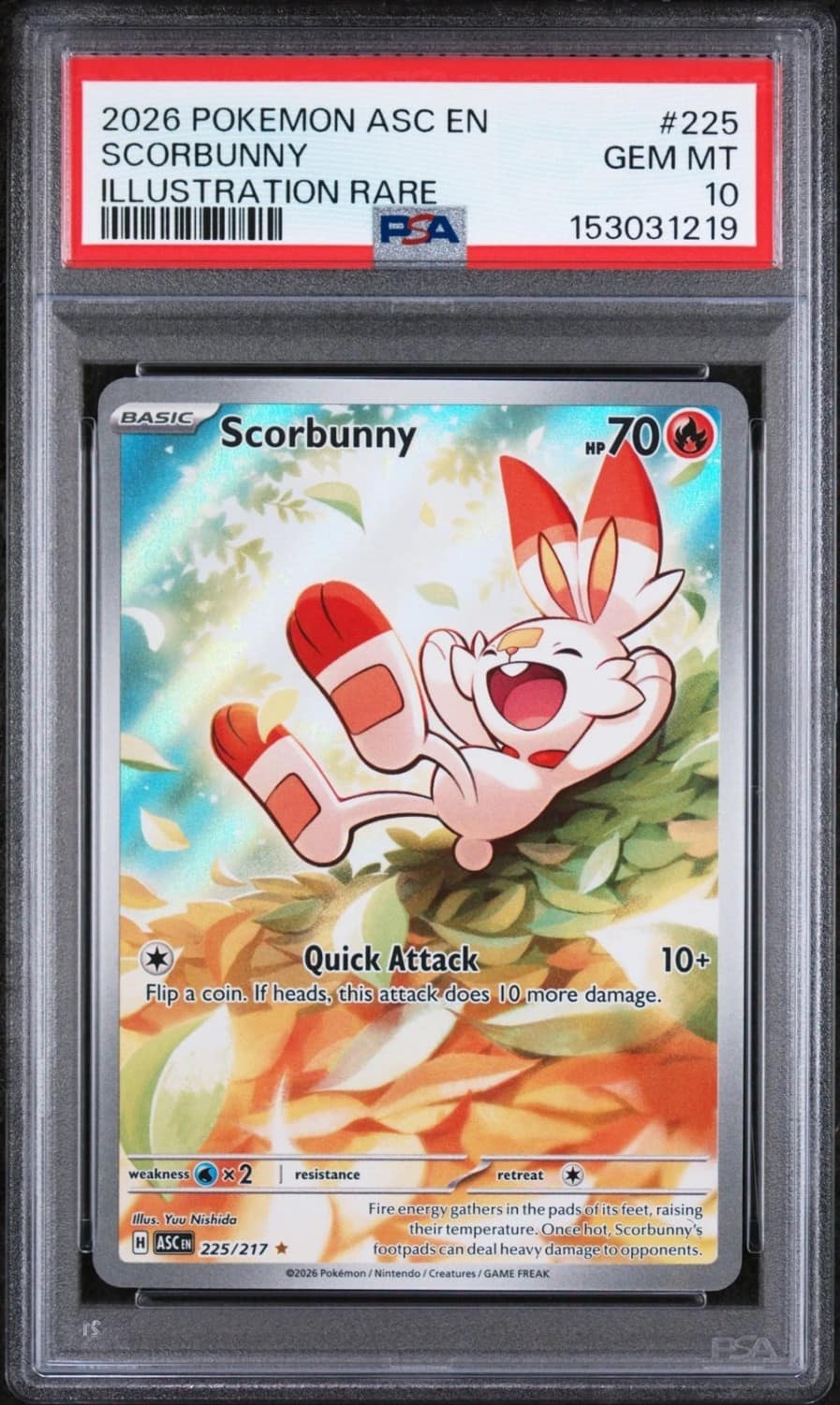 Scorbunny