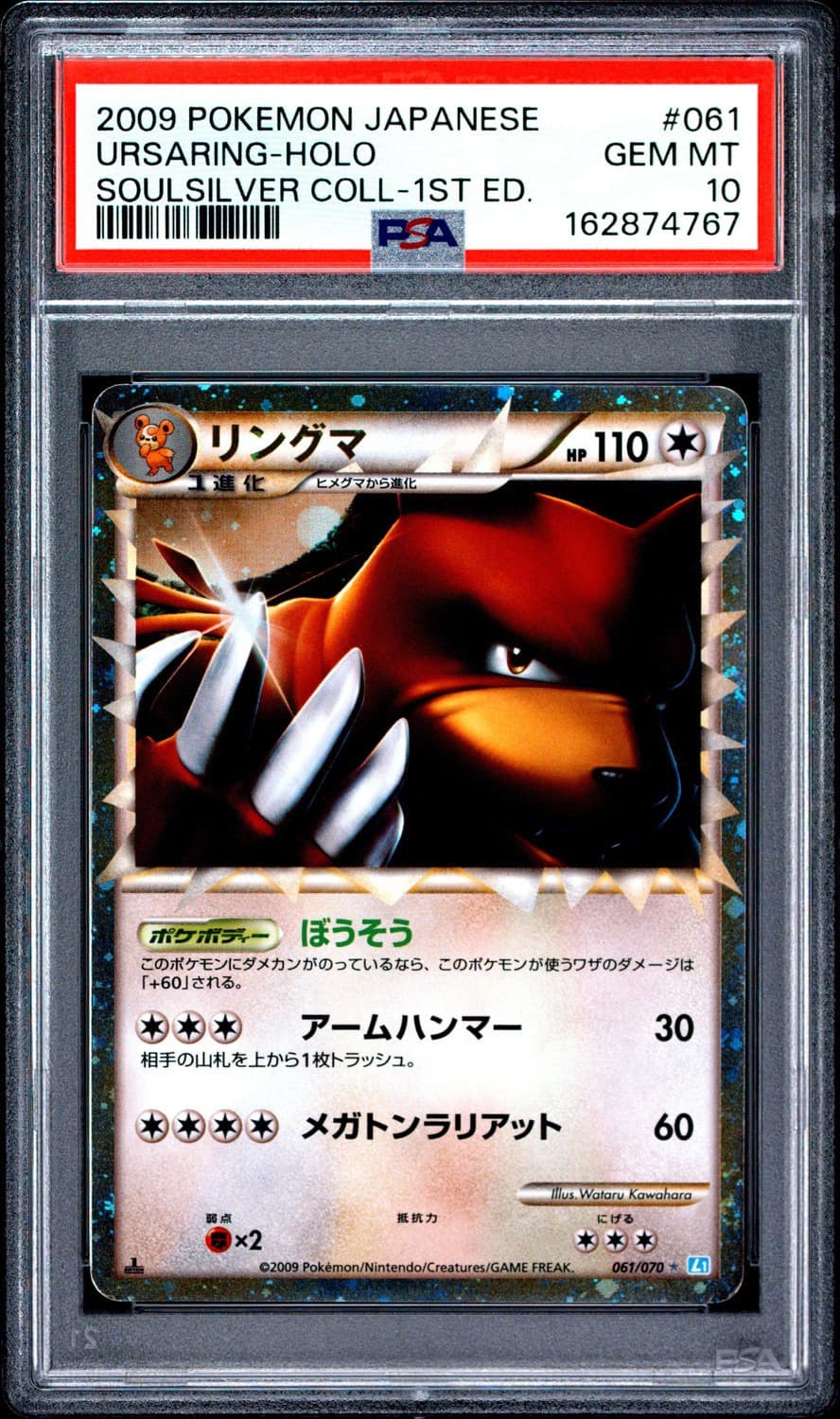 Ursaring