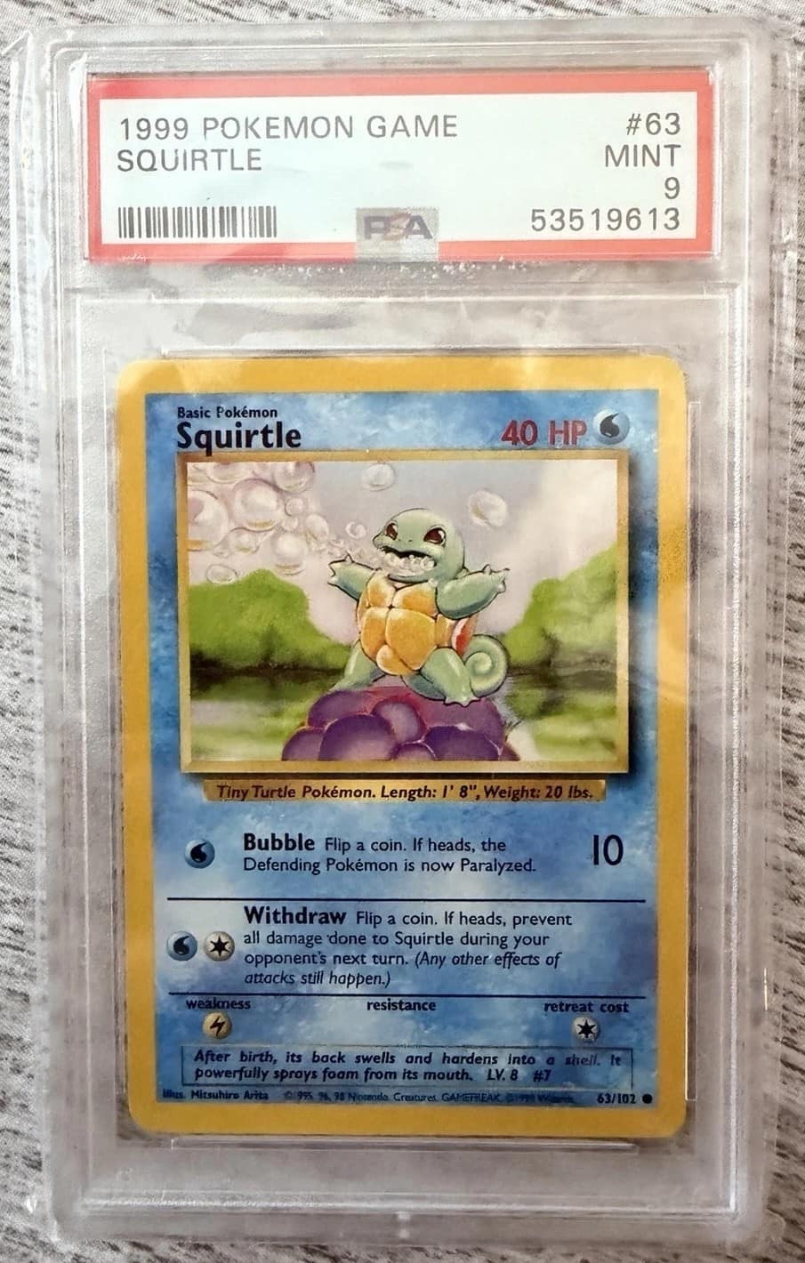 Squirtle