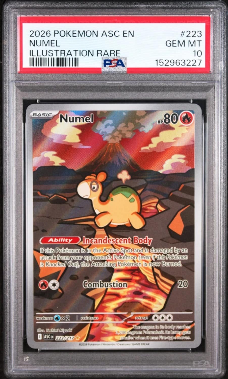 Numel