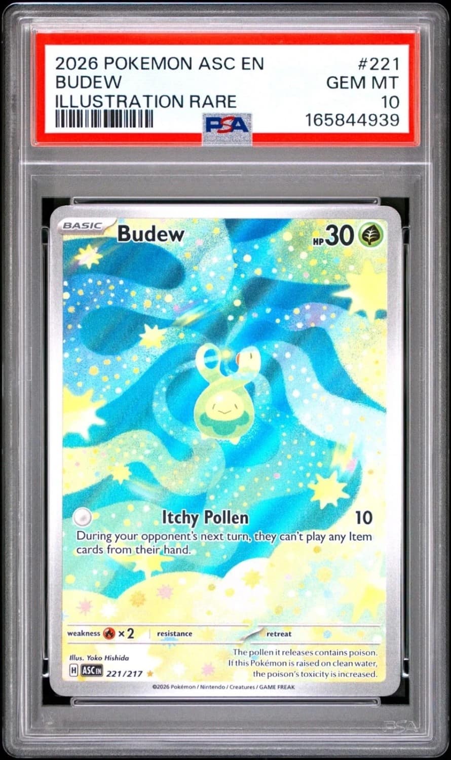 Budew