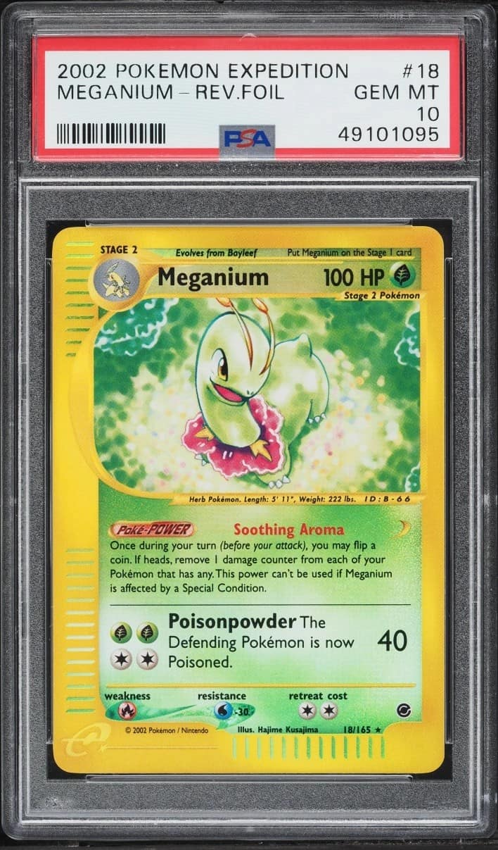 Meganium