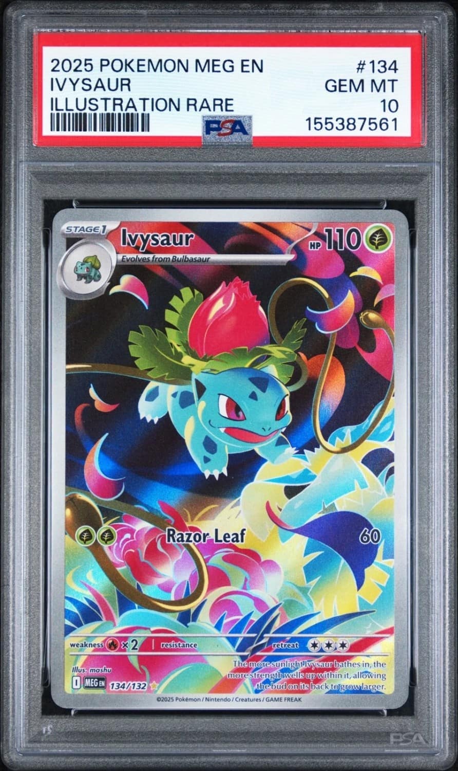 Ivysaur