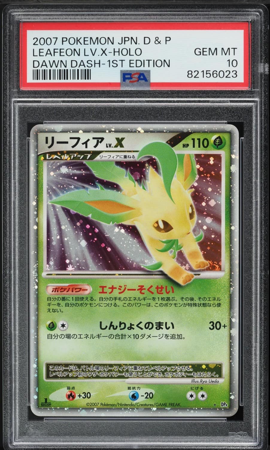 Leafeon Lv X