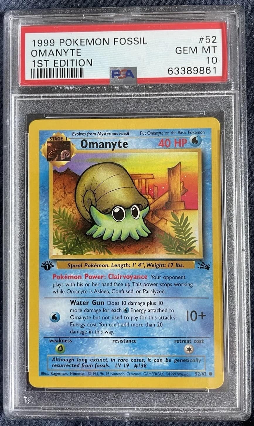 Omanyte
