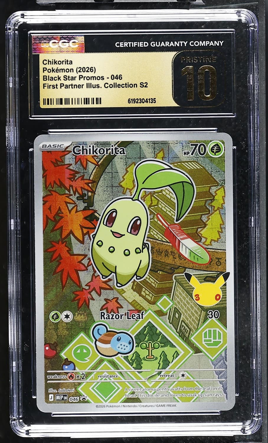 Chikorita