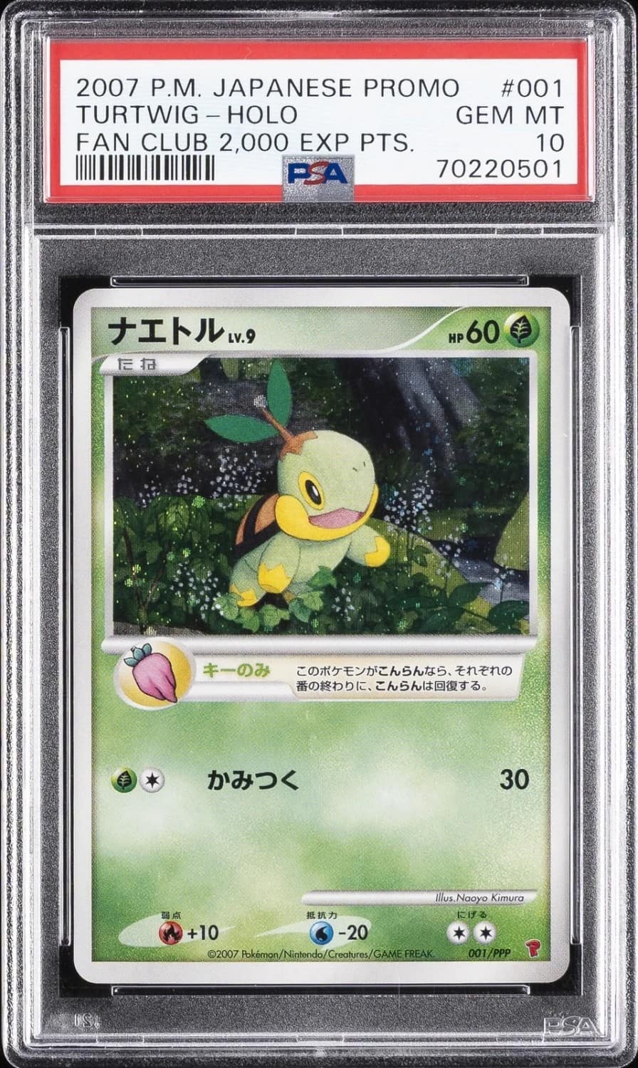 Turtwig