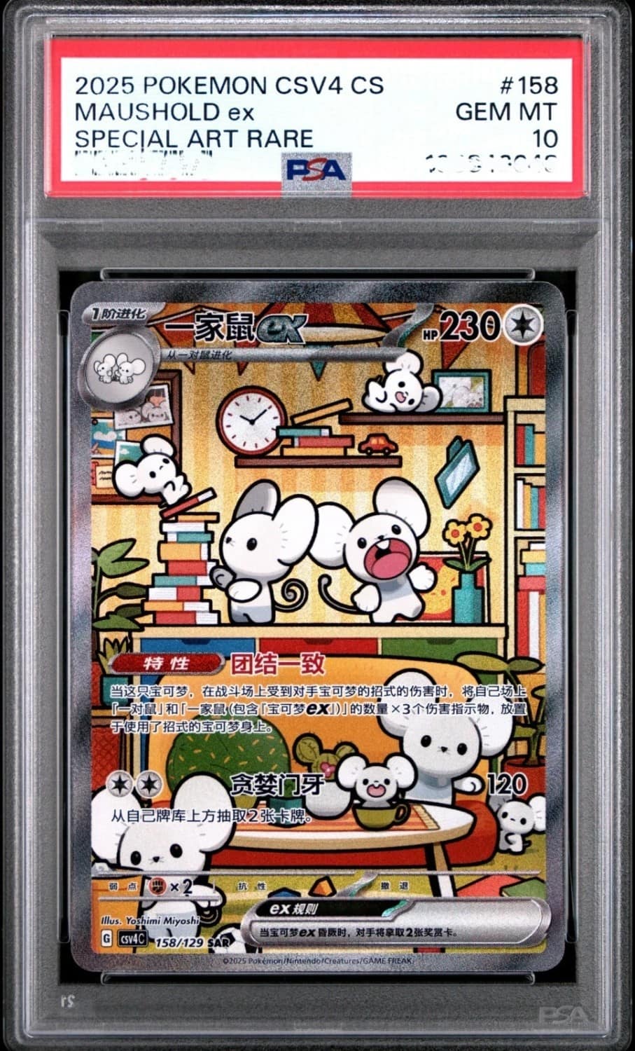 Maushold Ex