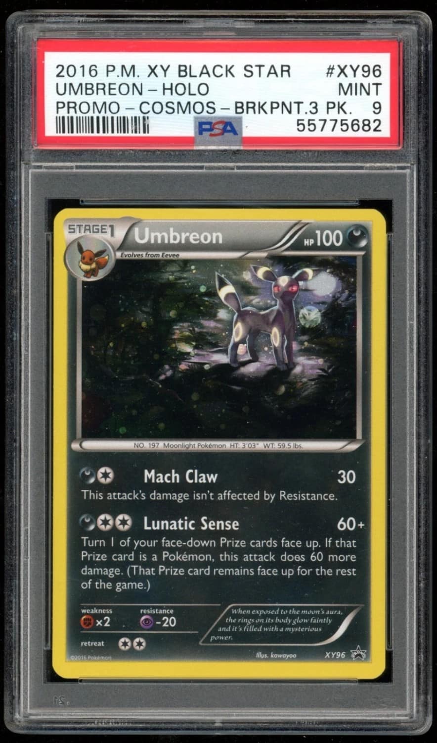 Umbreon