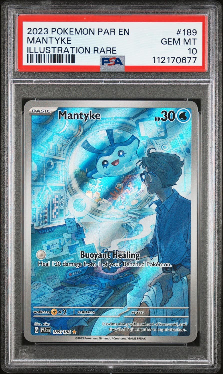 Mantyke
