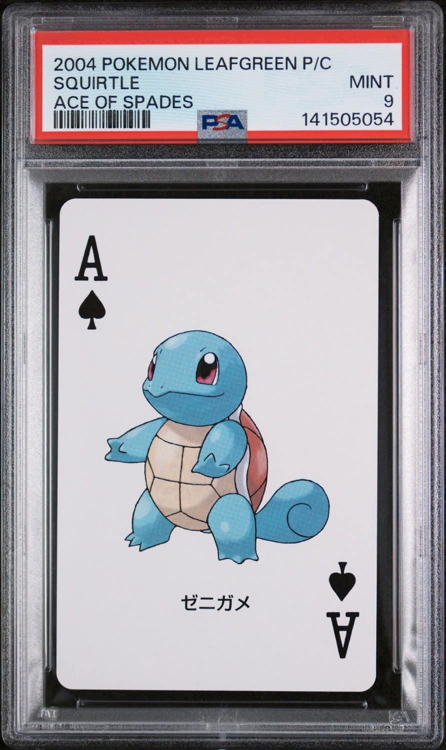 Squirtle