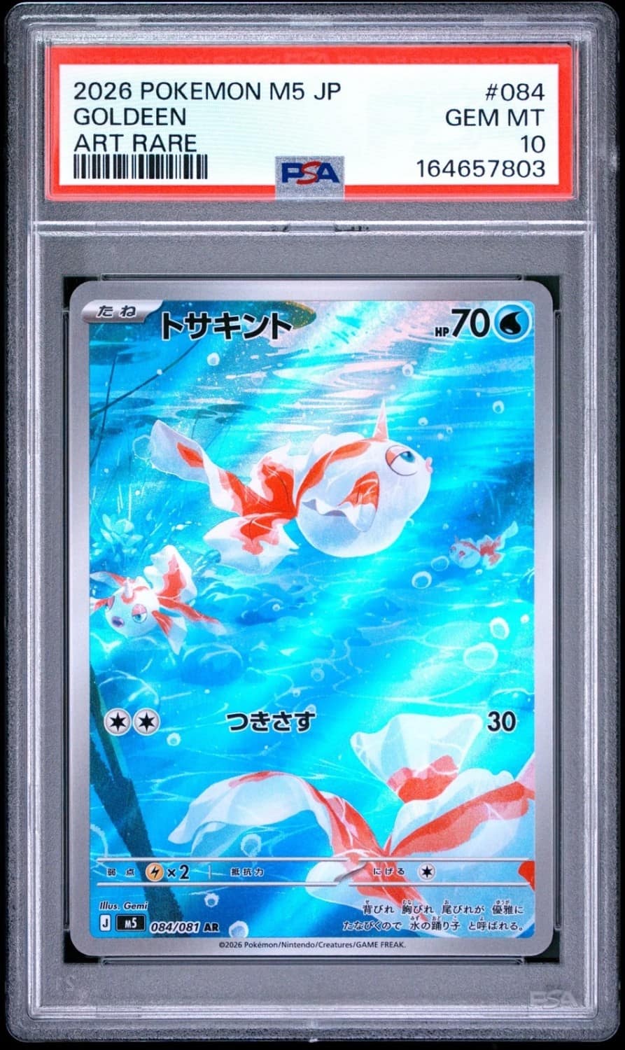 Goldeen