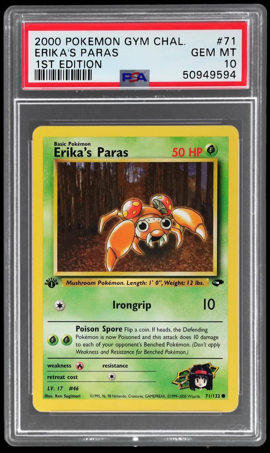 Erika'S Paras
