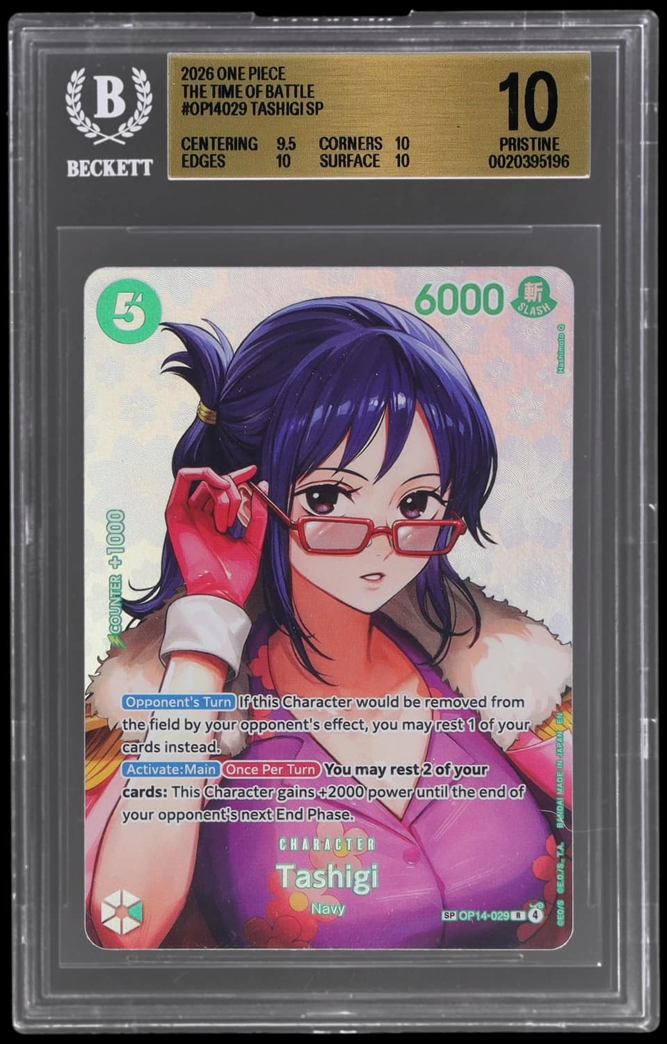 Tashigi Sp