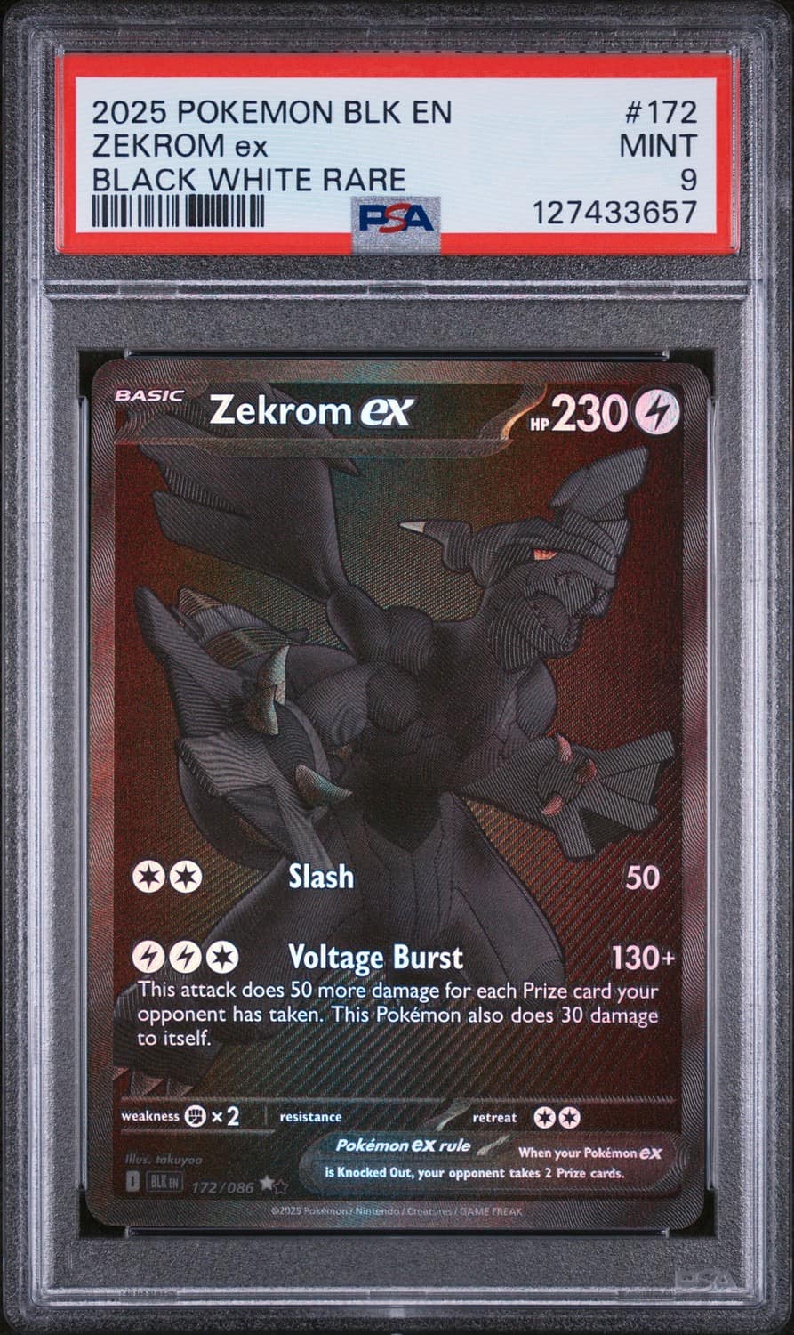 Zekrom Ex