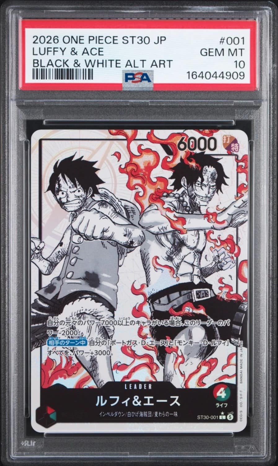 Luffy & Ace