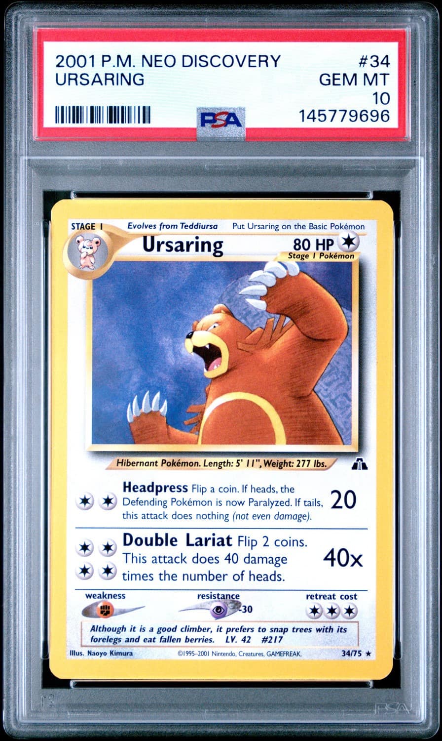 Ursaring
