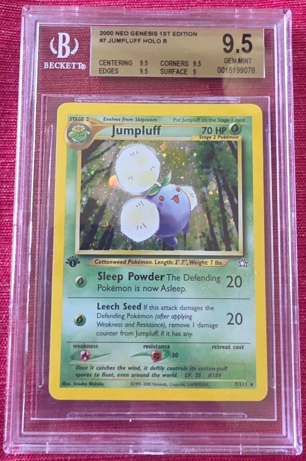Jumpluff