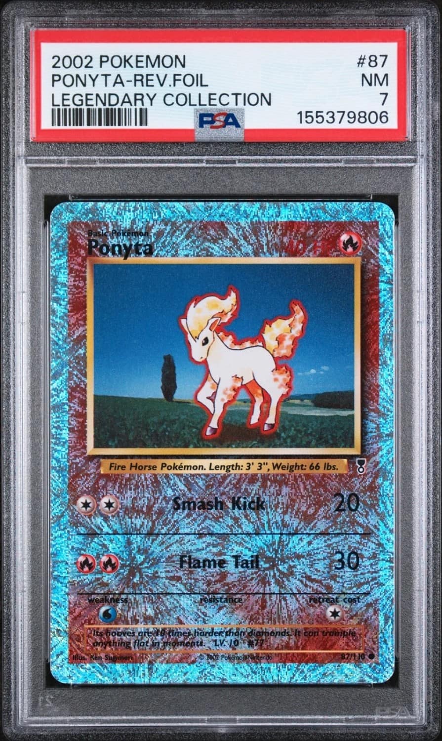 Ponyta