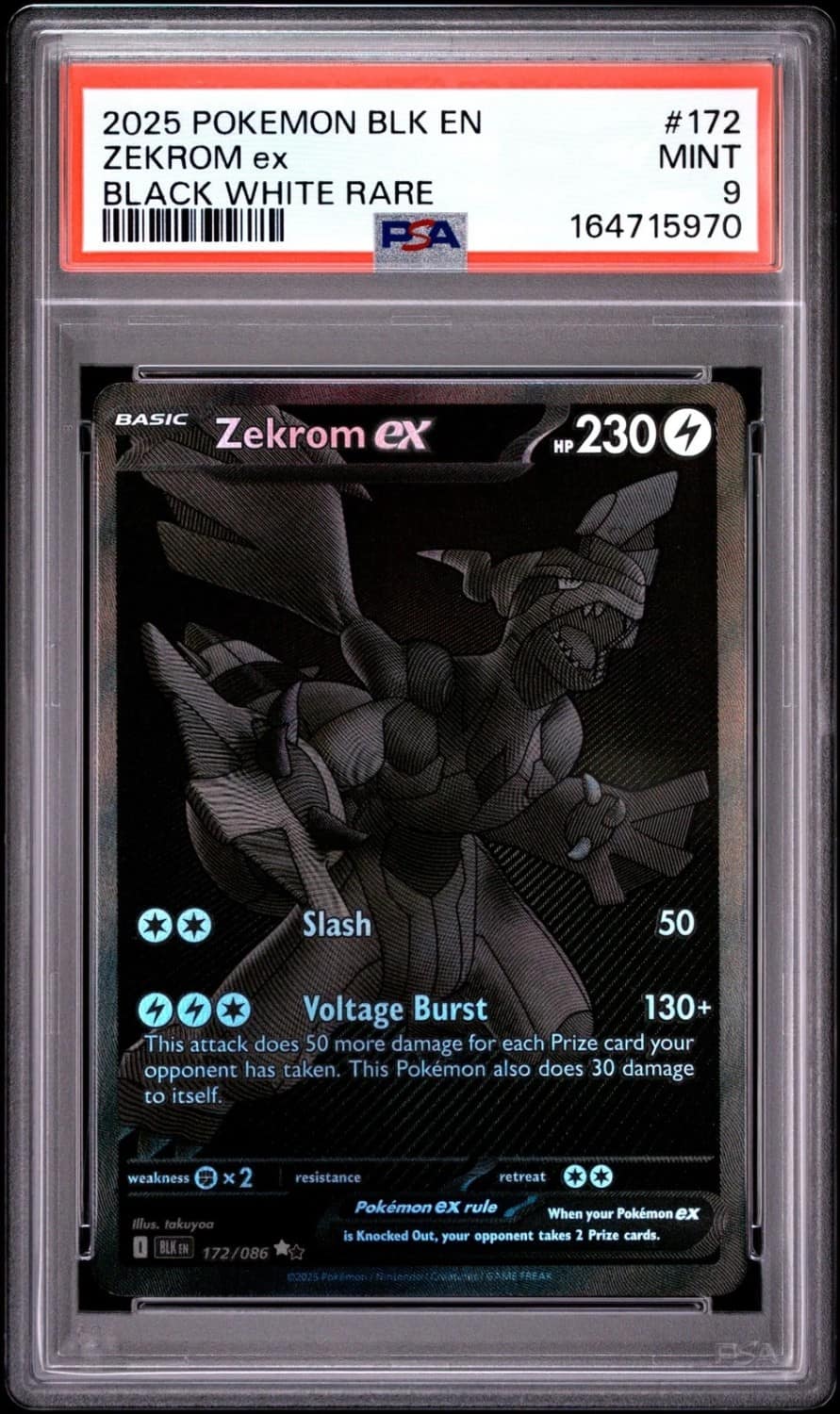 Zekrom Ex