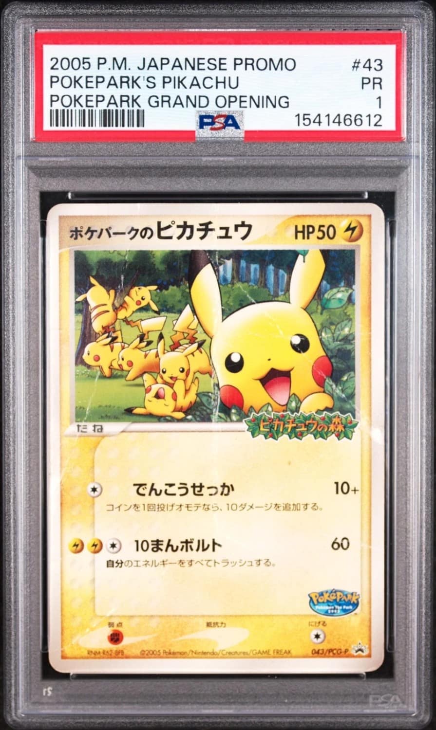 Pokepark'S Pikachu