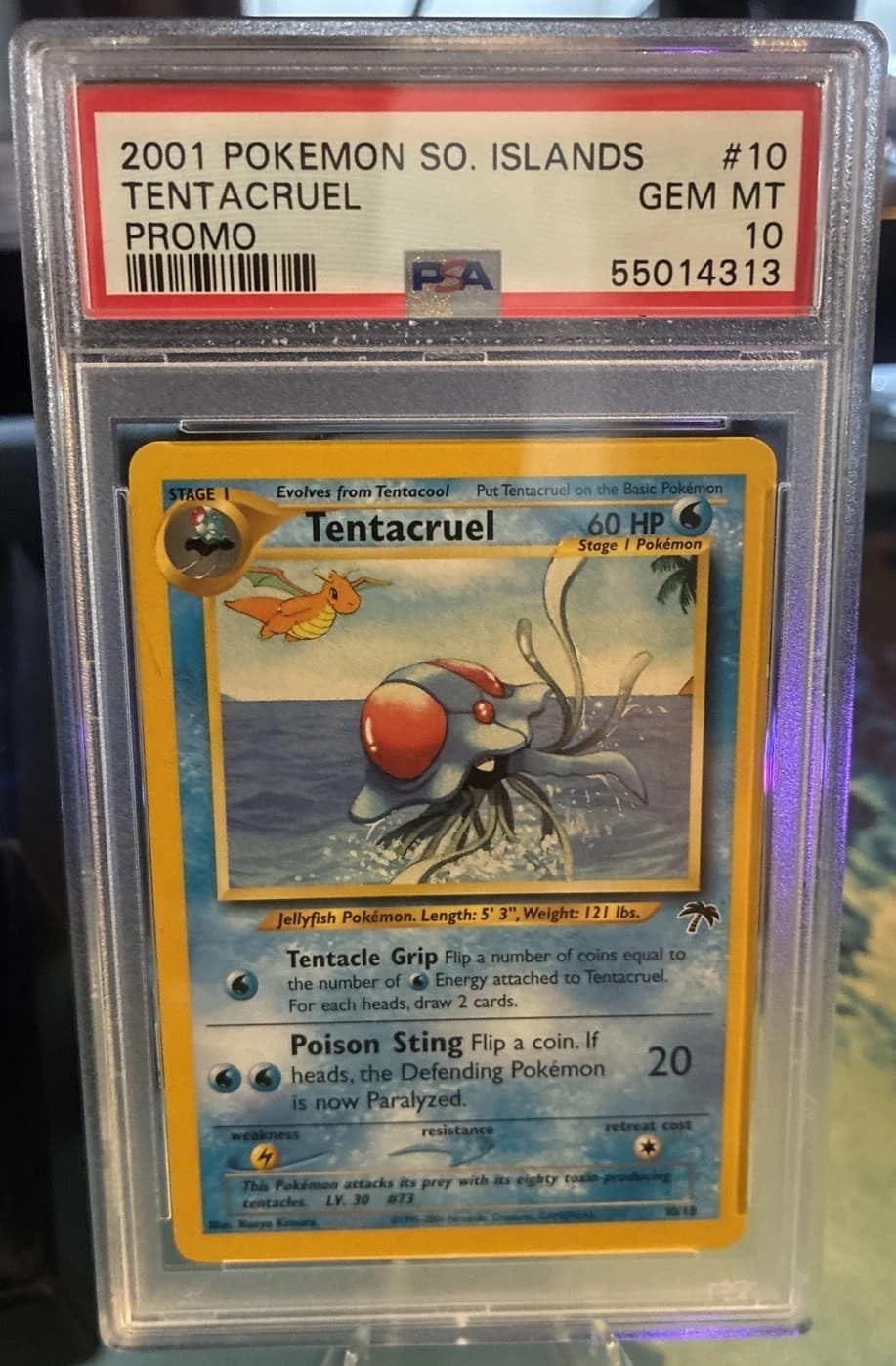 Tentacruel