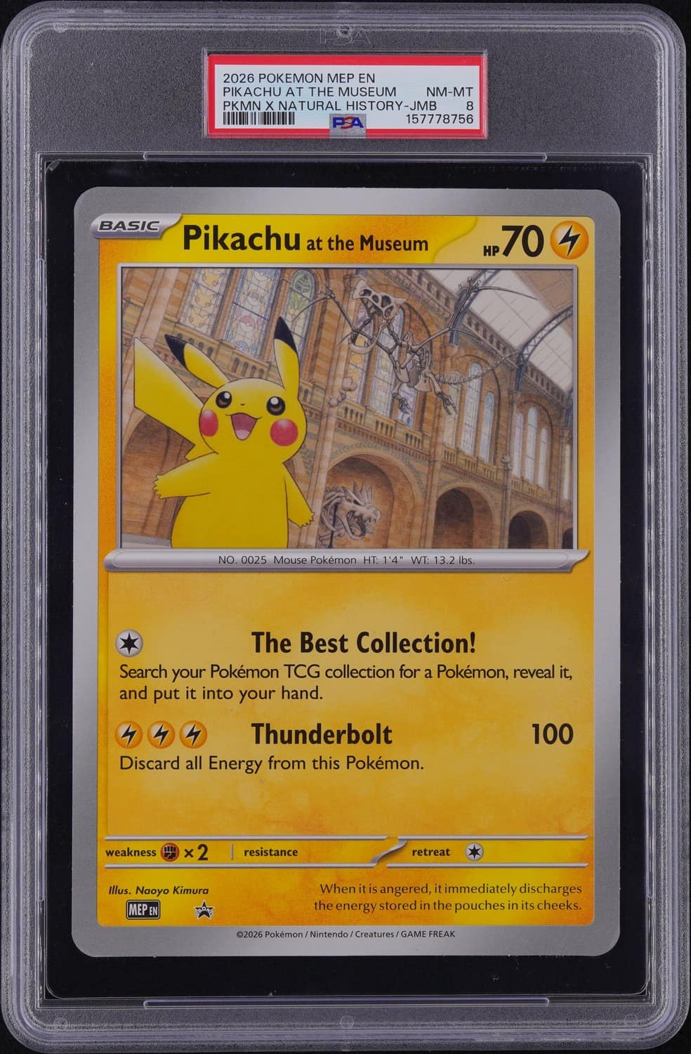 Pikachu At The Museum
