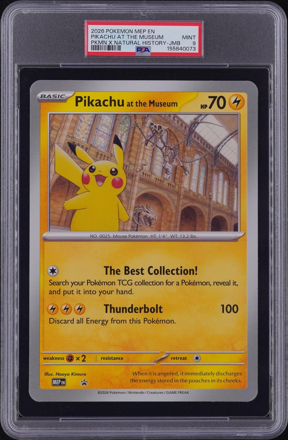 Pikachu At The Museum