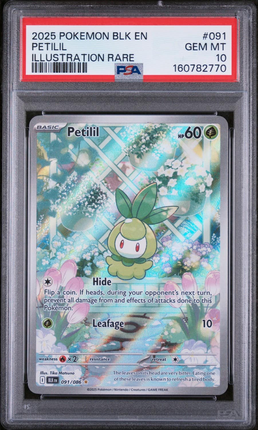 Petilil