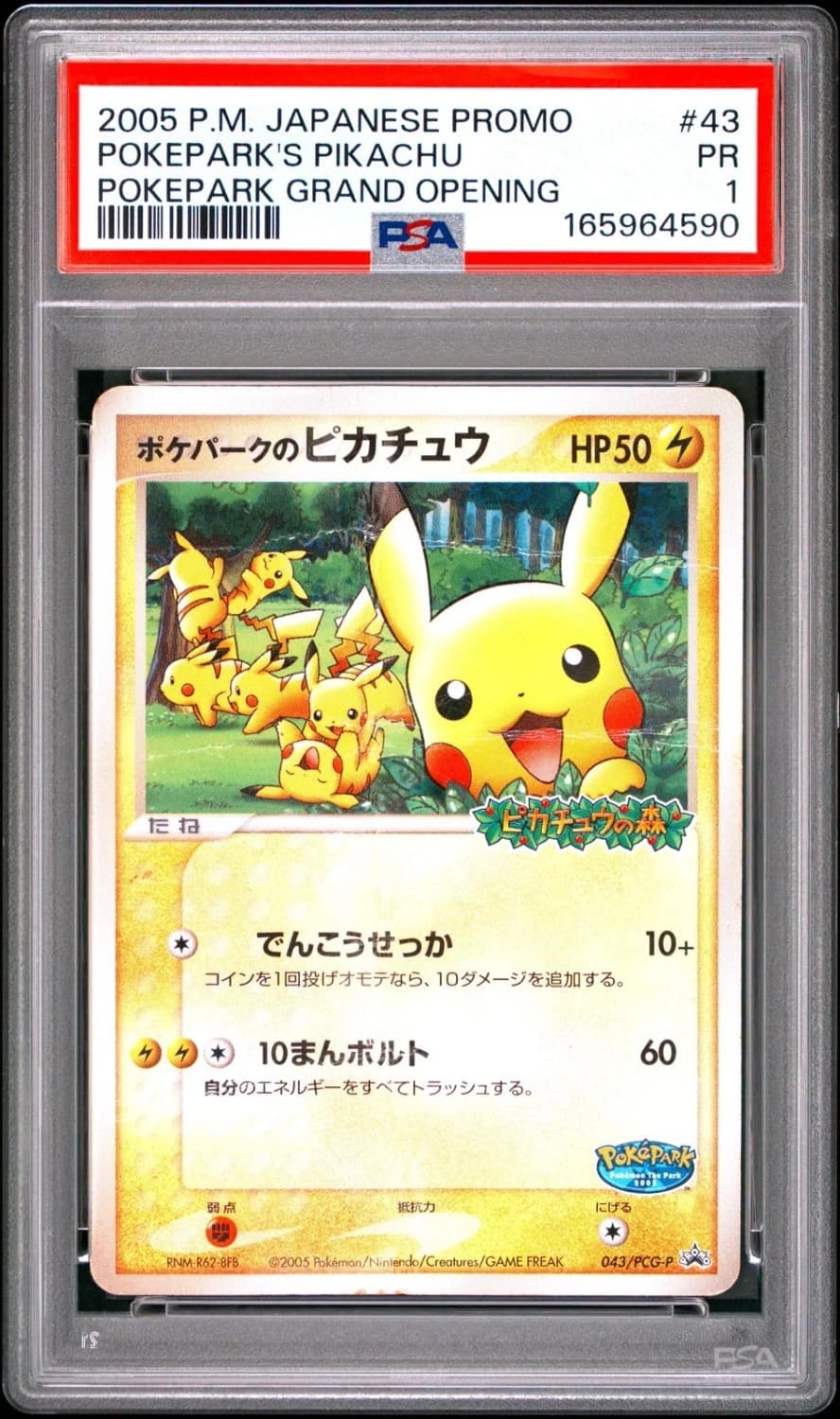 Pokepark'S Pikachu