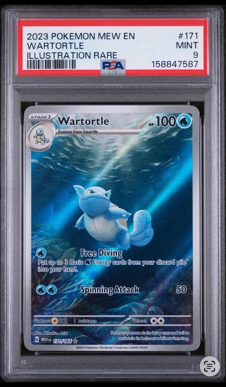 Wartortle