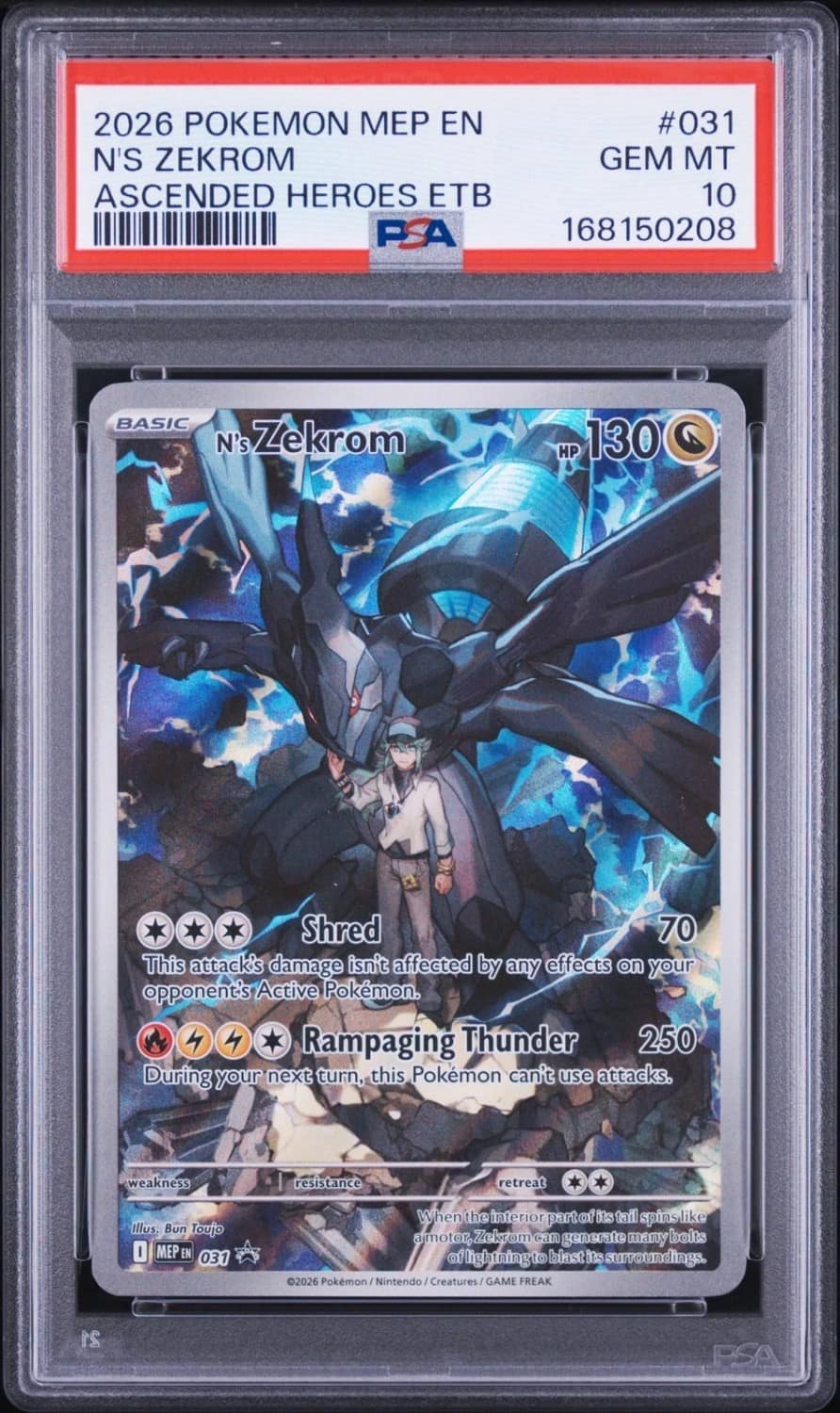 N'S Zekrom