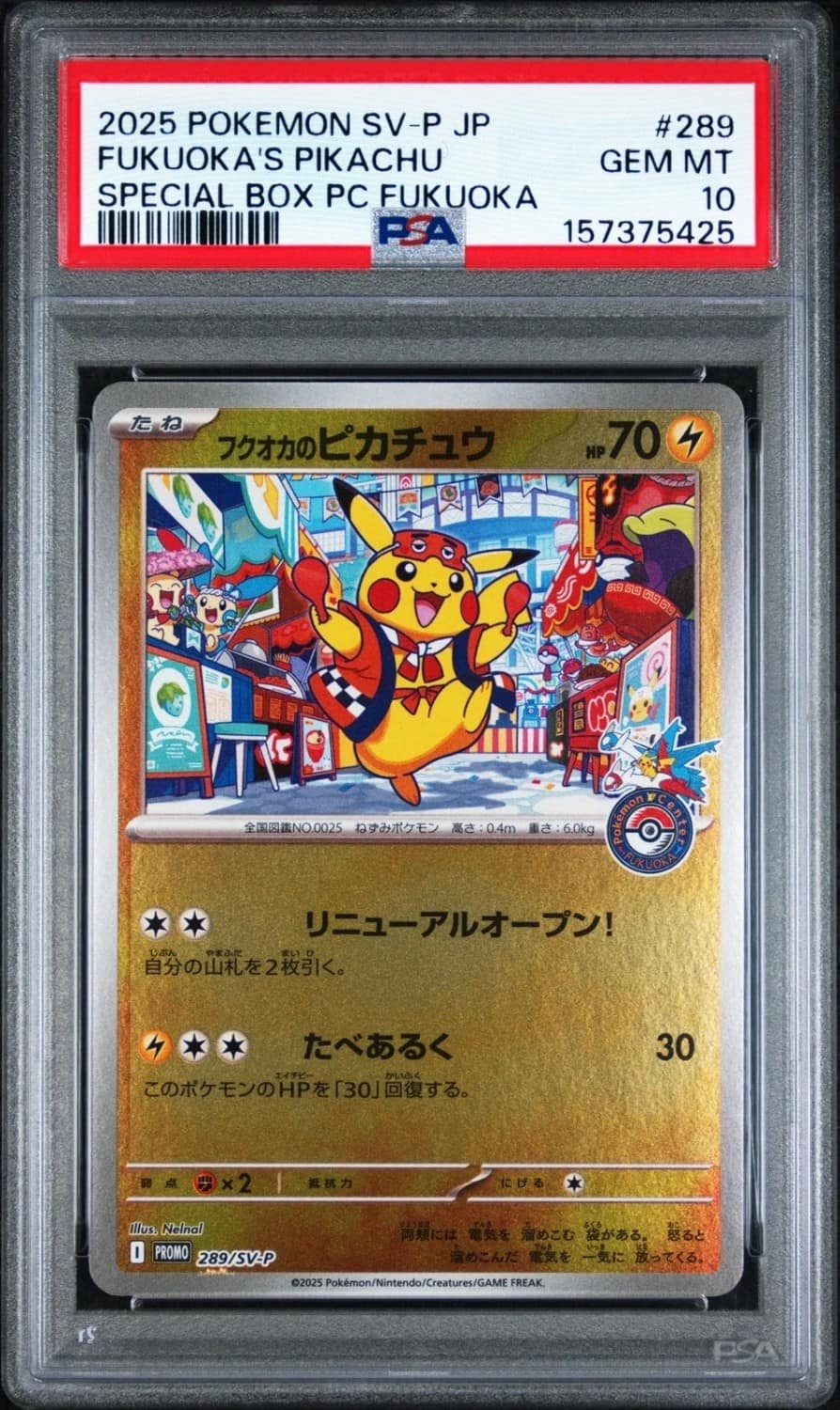 Fukuoka'S Pikachu