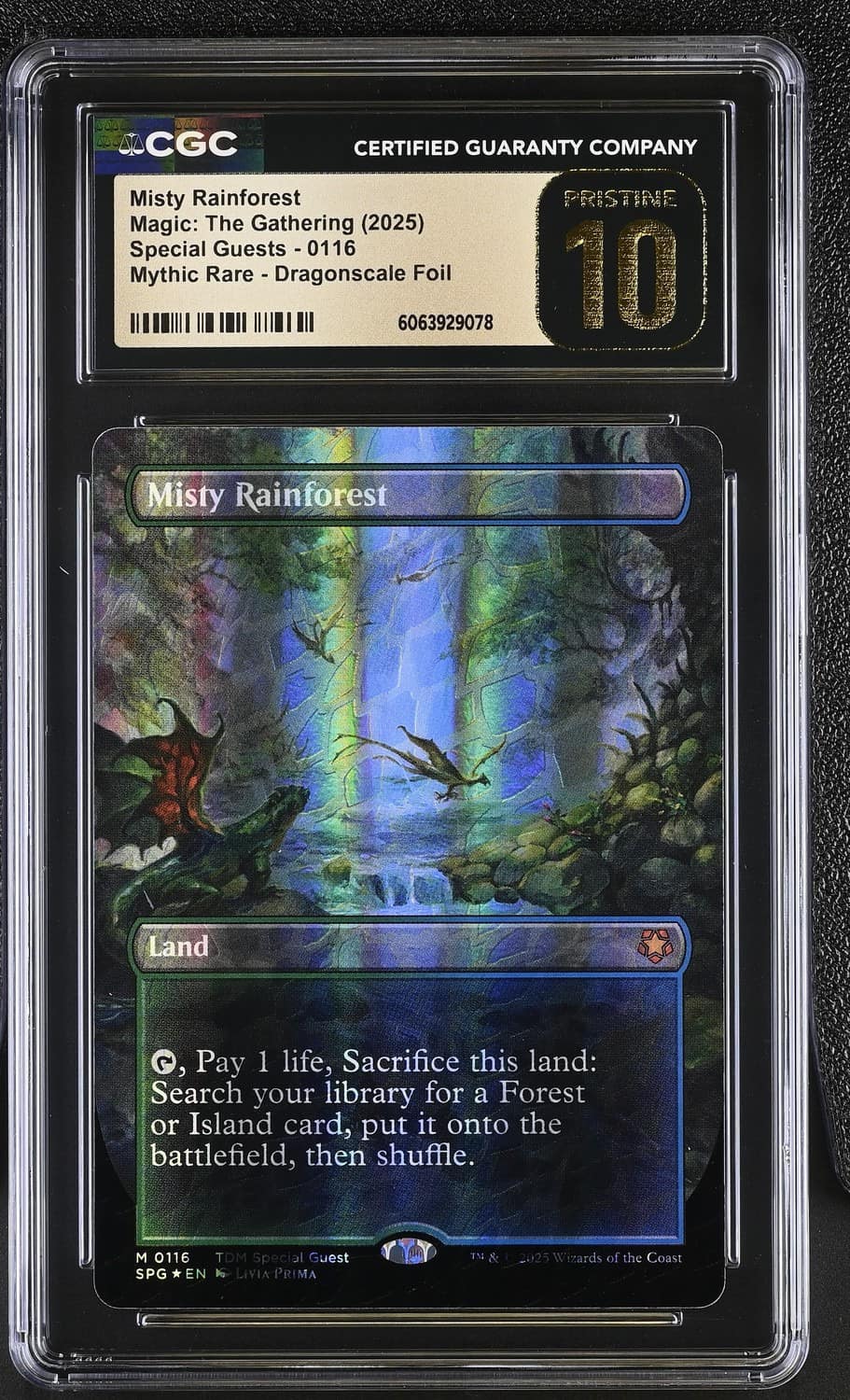 Misty Rainforest