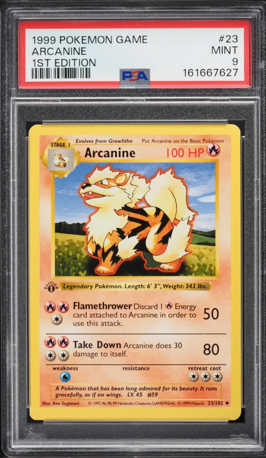Arcanine