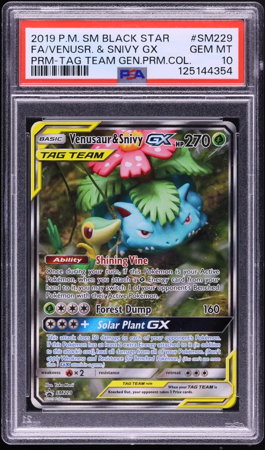 Venusaur & Snivy Gx