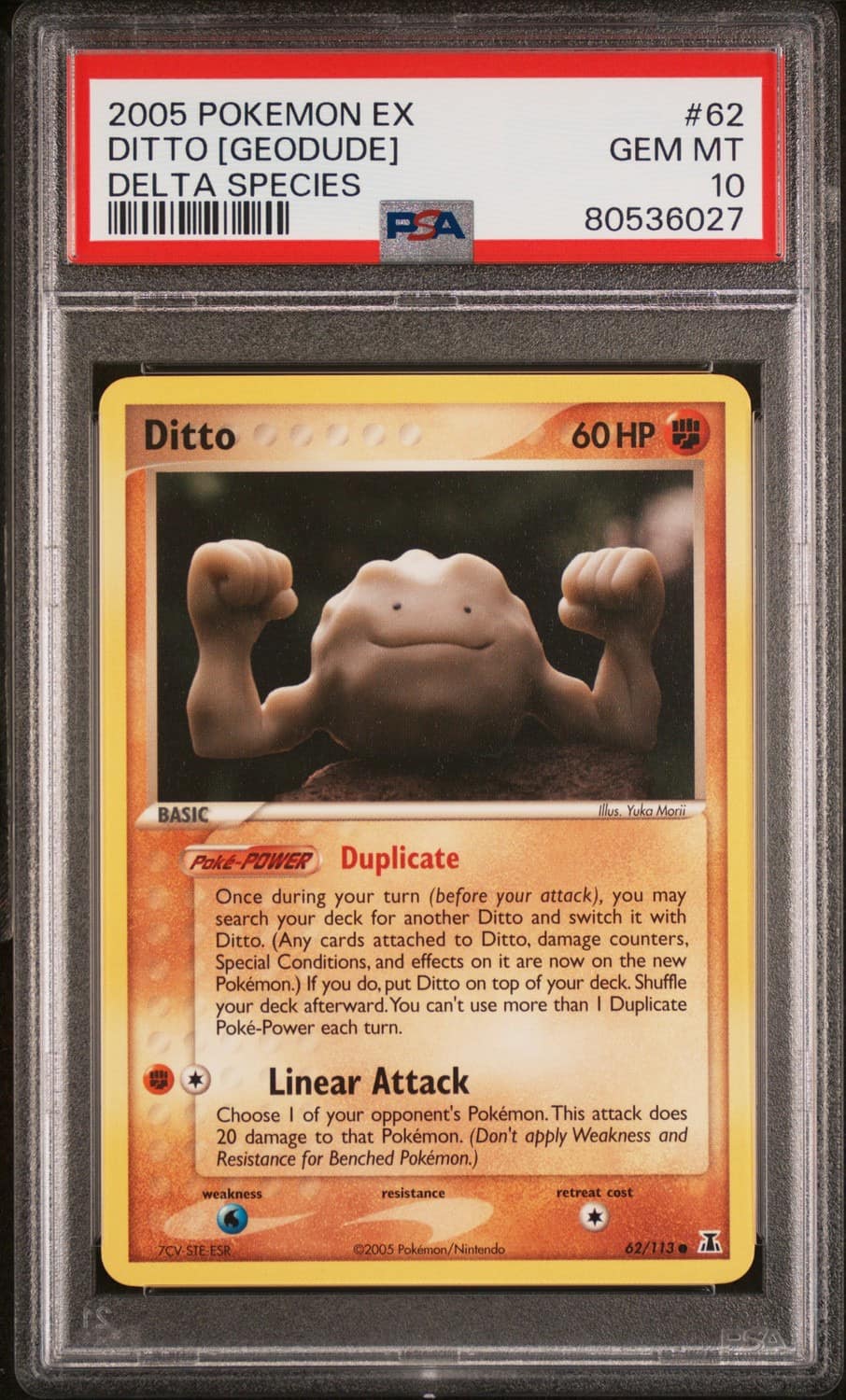 Ditto [geodude]
