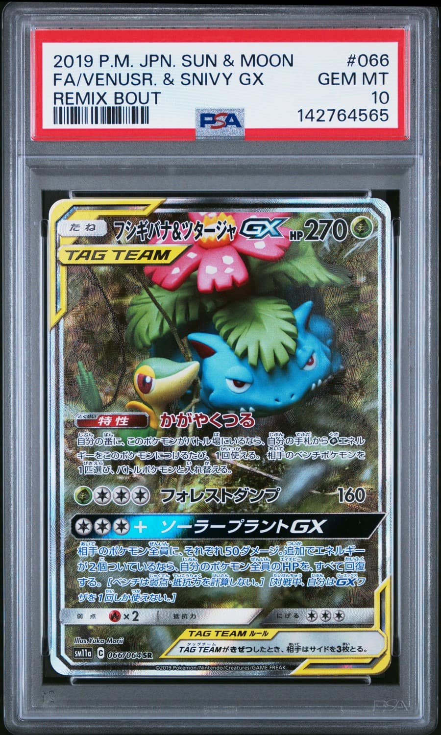 Venusaur & Snivy Gx