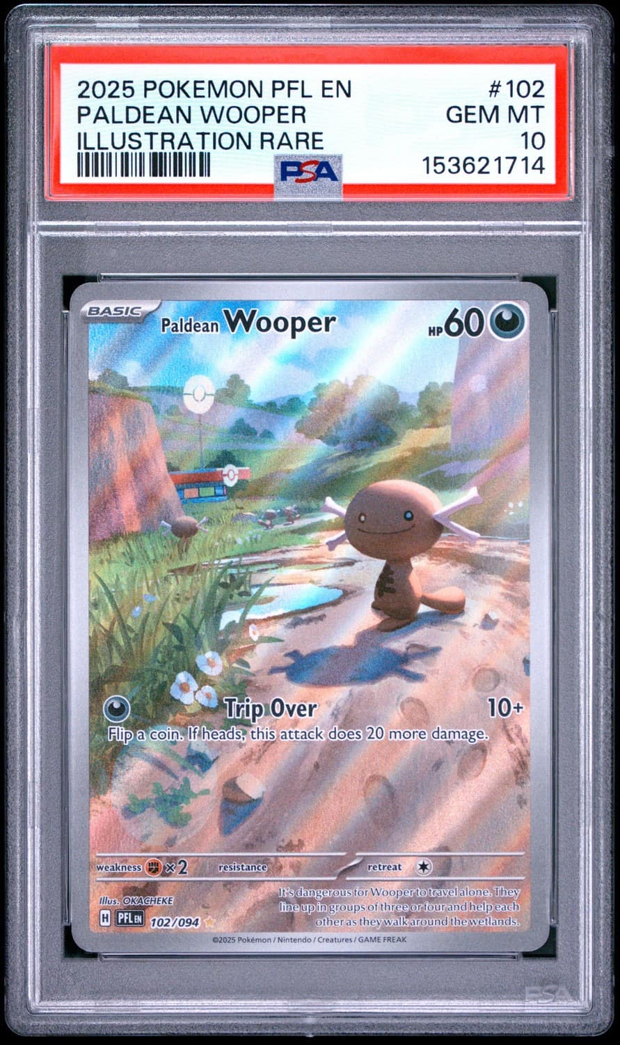 Paldean Wooper