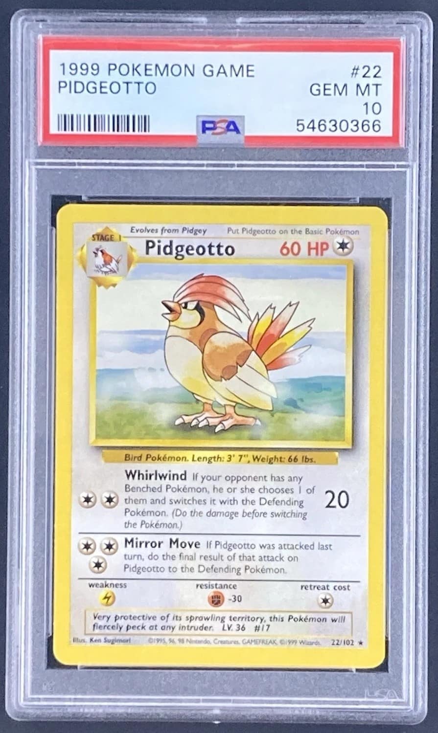 Pidgeotto