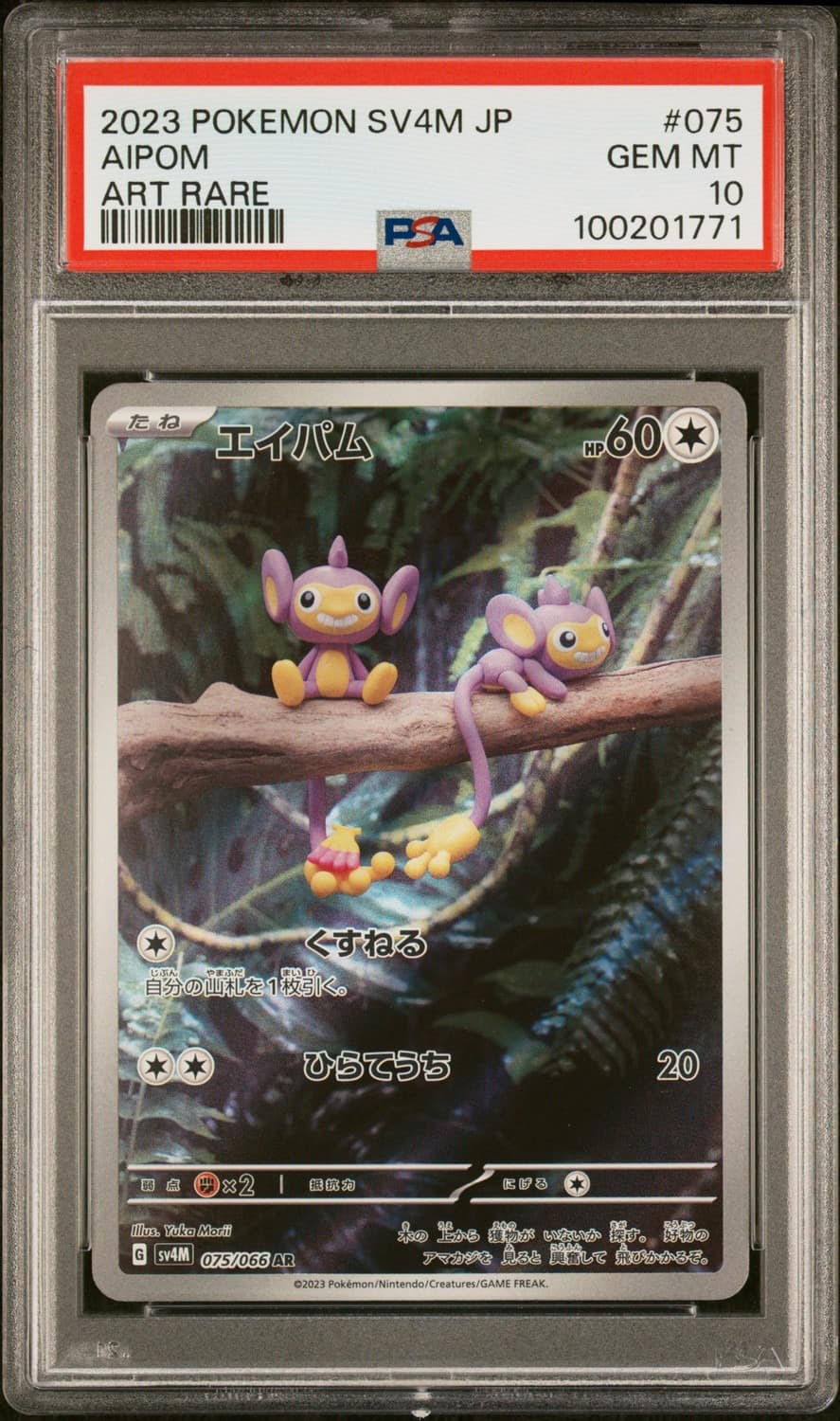 Aipom