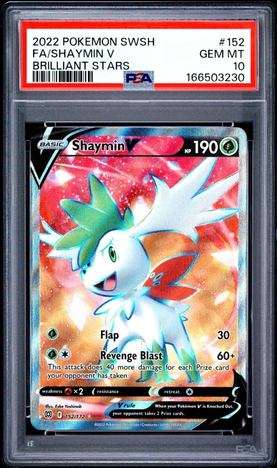 Shaymin V