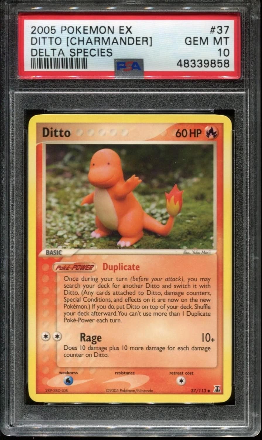 Ditto [charmander]