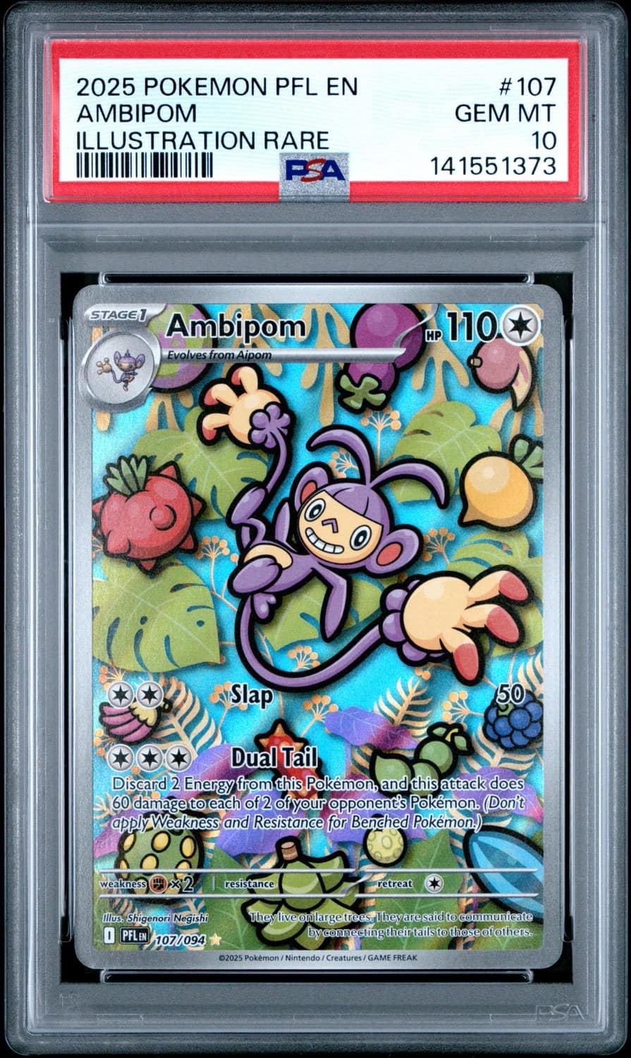 Ambipom
