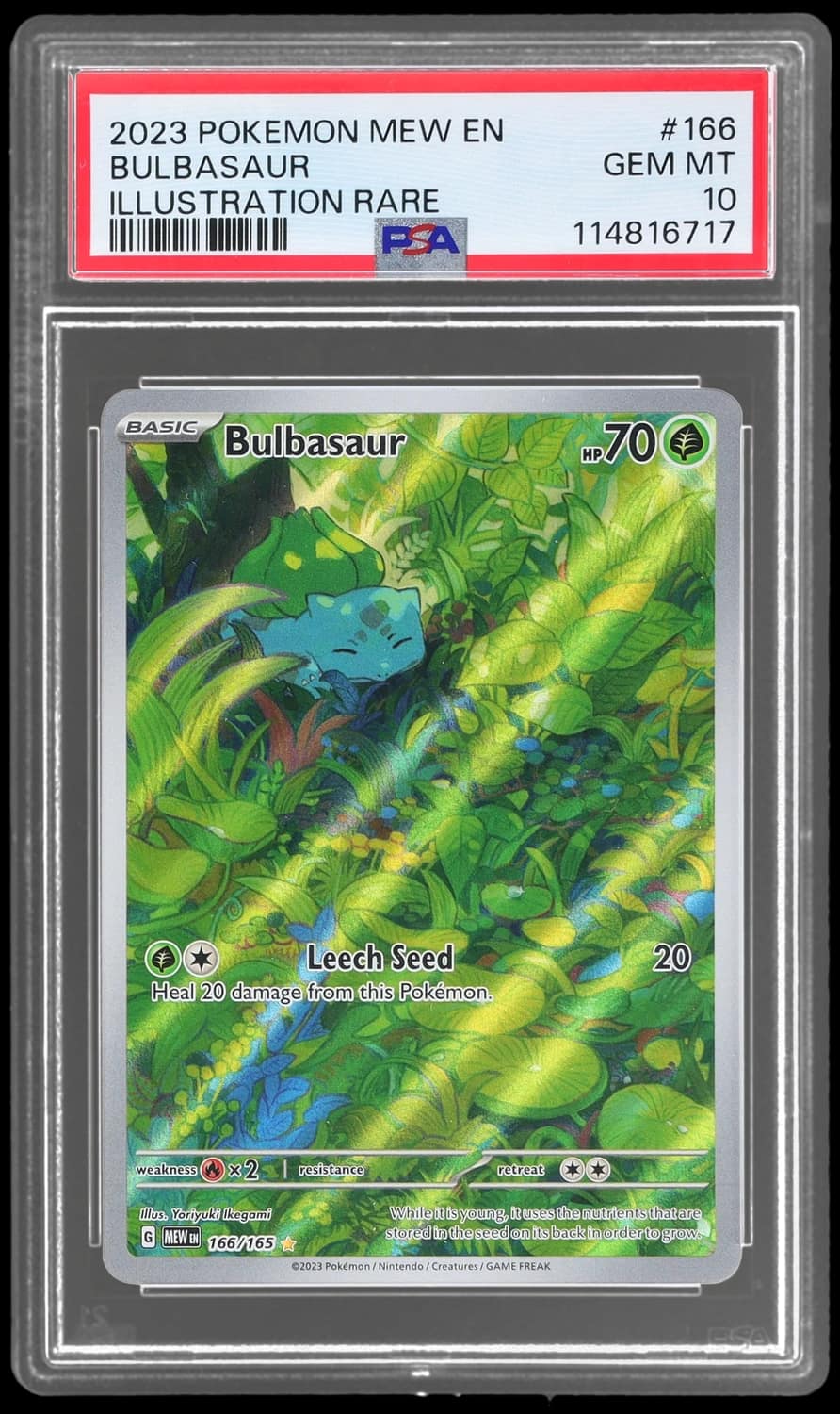 Bulbasaur