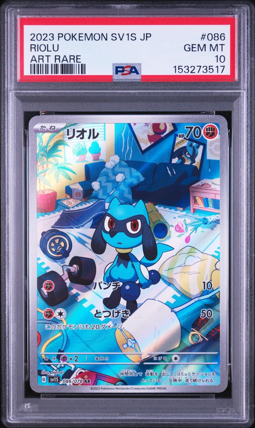 Riolu