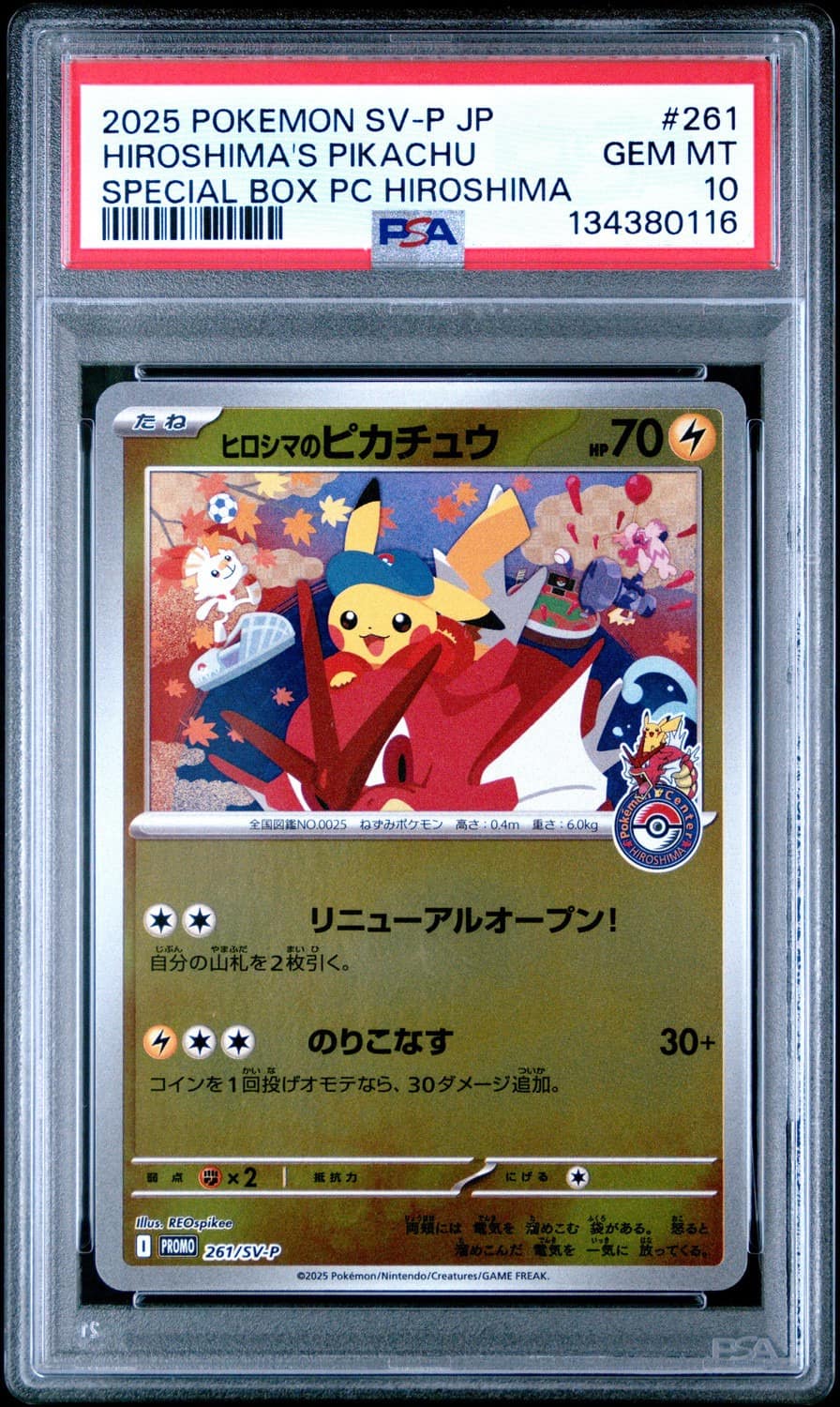Hiroshima'S Pikachu